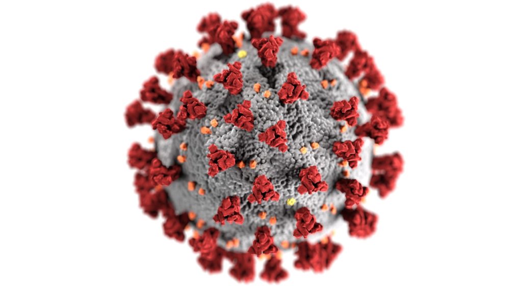 COVID-19 antibody tests provide important insights over time