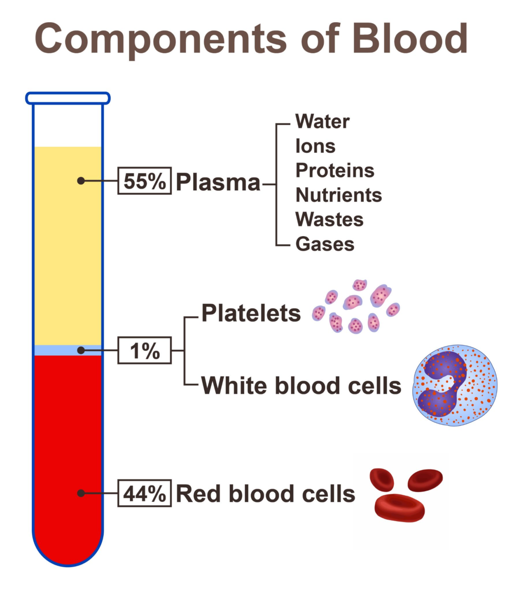 What is hemolyzed blood homed iq