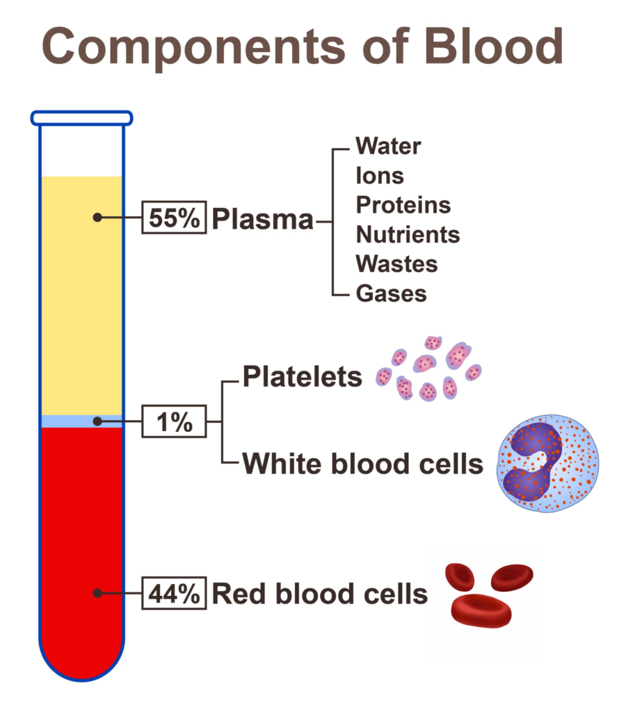Wat is hemolyse van bloed? - Homed-IQ