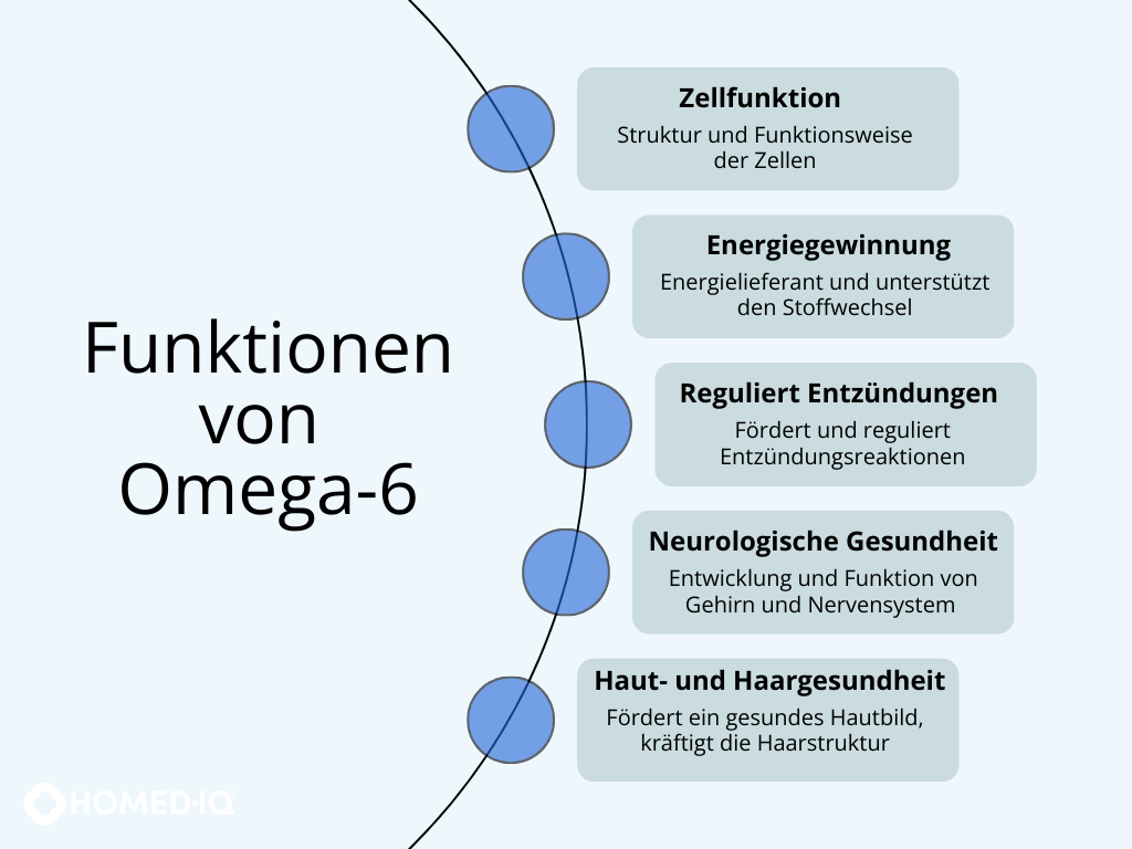 Omega-6-Fettsäuren: Wie gesund ist Omega-6? - Homed-IQ