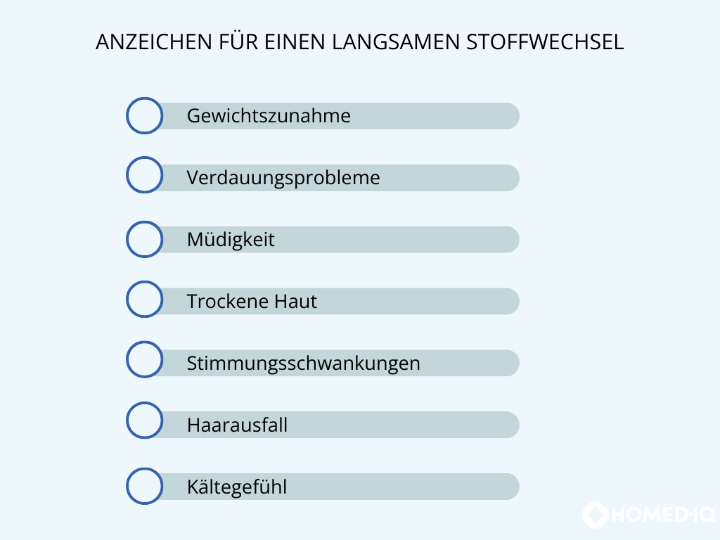 Stoffwechsel anregen – so bringen Sie Ihren Stoffwechsel schnell auf Hochtouren - Homed-IQ