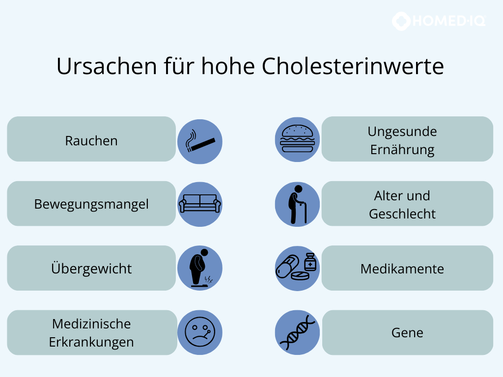 Cholesterin – erhöhte Werte jetzt in den Griff bekommen - Homed-IQ