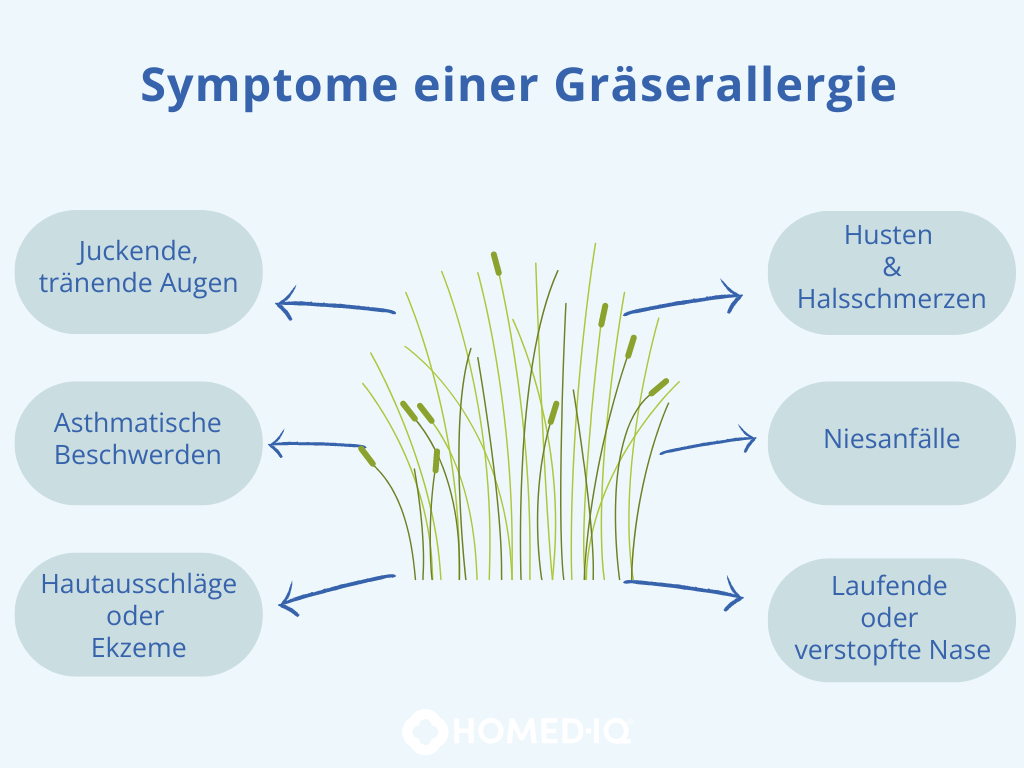 Die Gräserallergie verstehen: Symptome, Behandlung & Pollenflugzeit - Homed-IQ