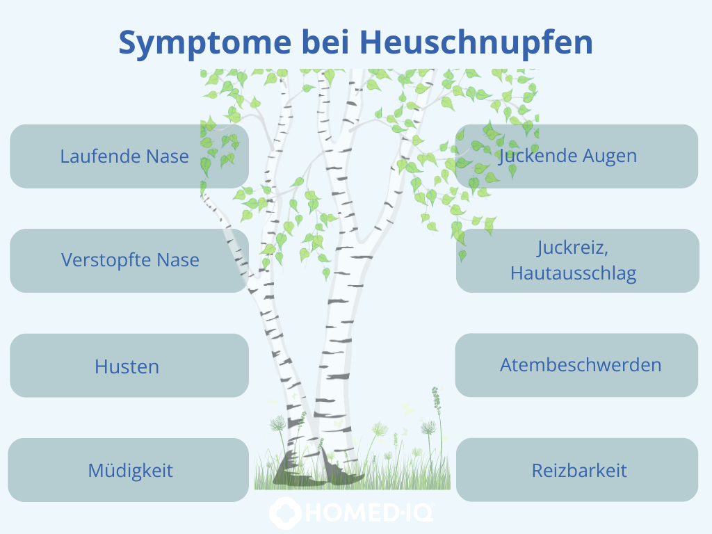 Symptome bei Heuschnupfen