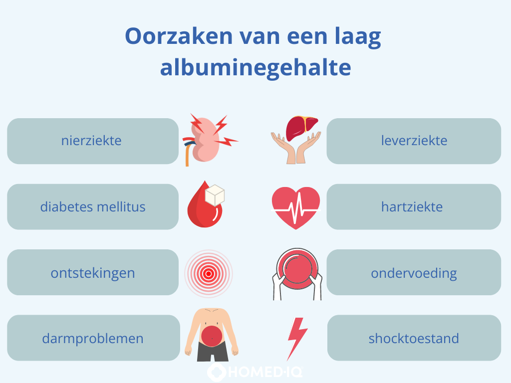 Oorzaken van een lage albuminespiegel
