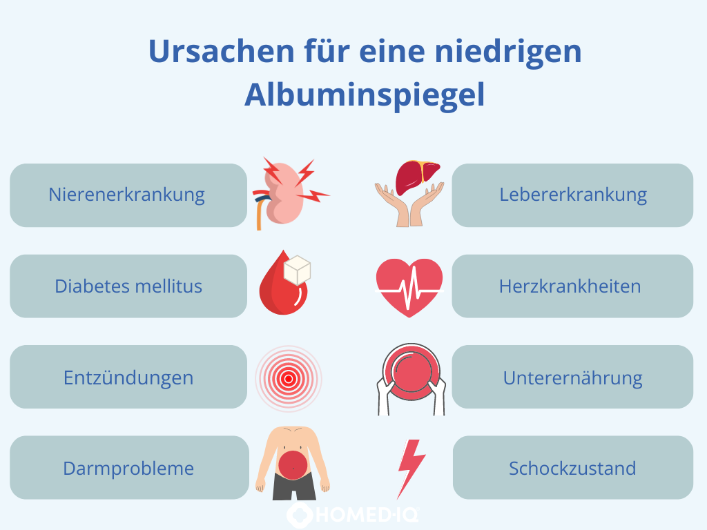 Ursachen für einen niedrigen Albuminspiegel
